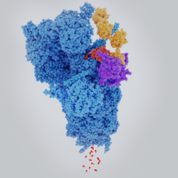 Chromatography and Detection Methods for Peptide Purification